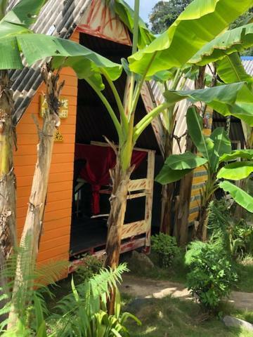 Beach Shack Chalet - Garden View Aframe Small Unit Kampong Juara Exterior photo